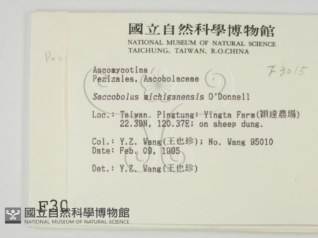 登錄號:F0003015藏品圖，第2張