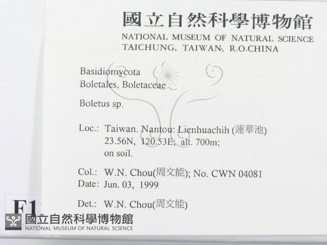 登錄號:F0013015藏品圖，第2張