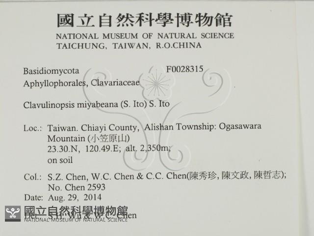登錄號:F0028315藏品圖，第2張
