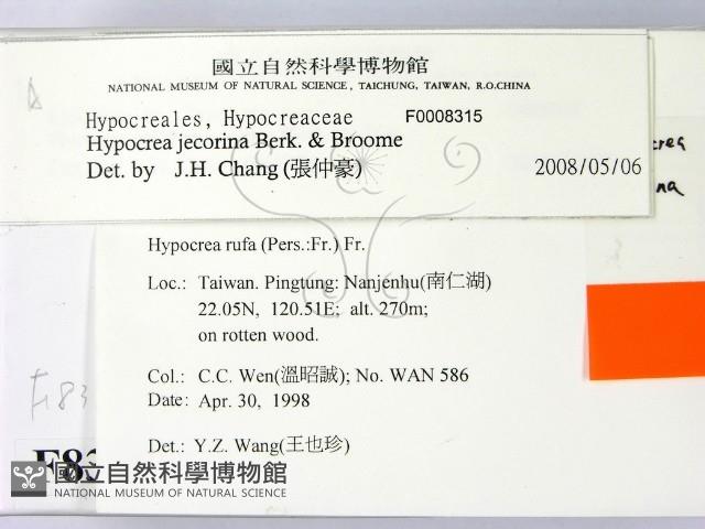 登錄號:F0008315藏品圖，第2張