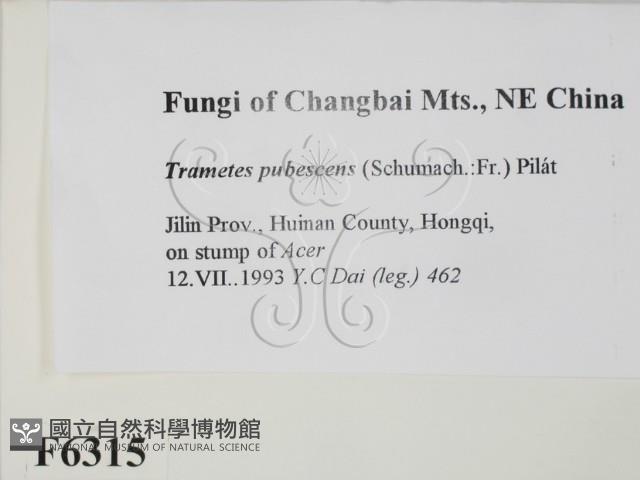 登錄號:F0006315藏品圖，第2張