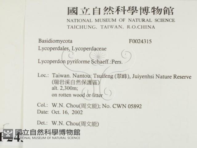 登錄號:F0024315藏品圖，第2張