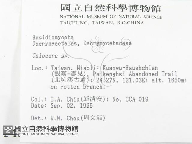 登錄號:F0004315藏品圖，第2張