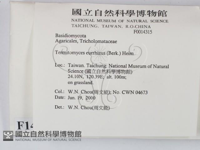 登錄號:F0014315藏品圖，第2張