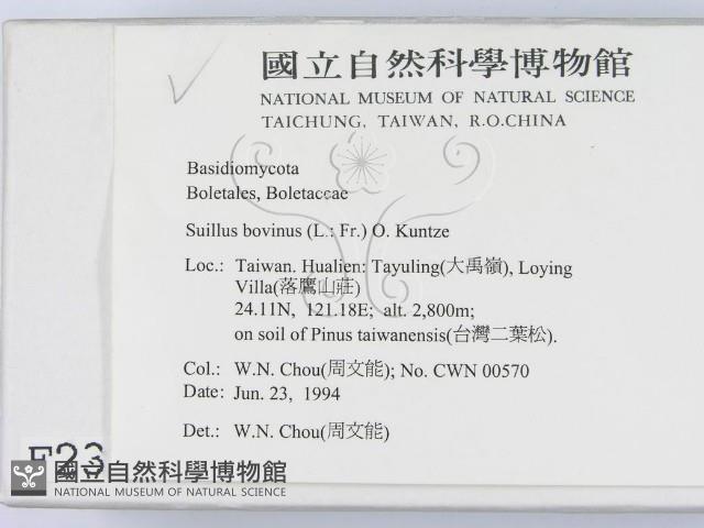 登錄號:F0002315藏品圖，第2張