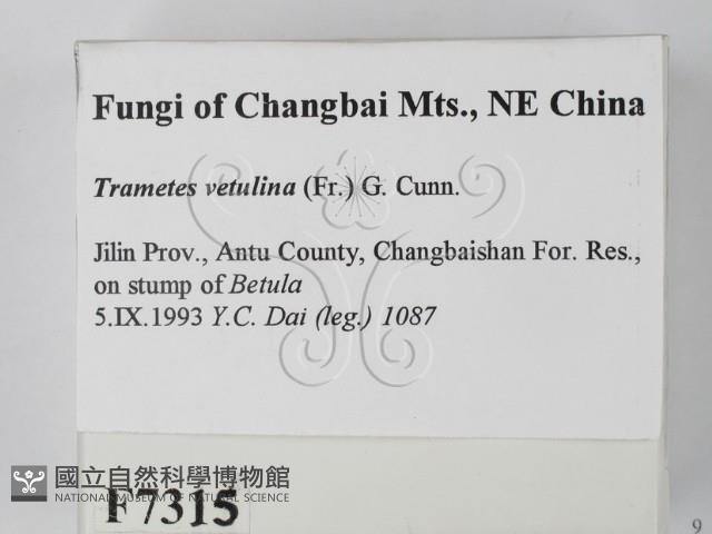 登錄號:F0007315藏品圖，第2張