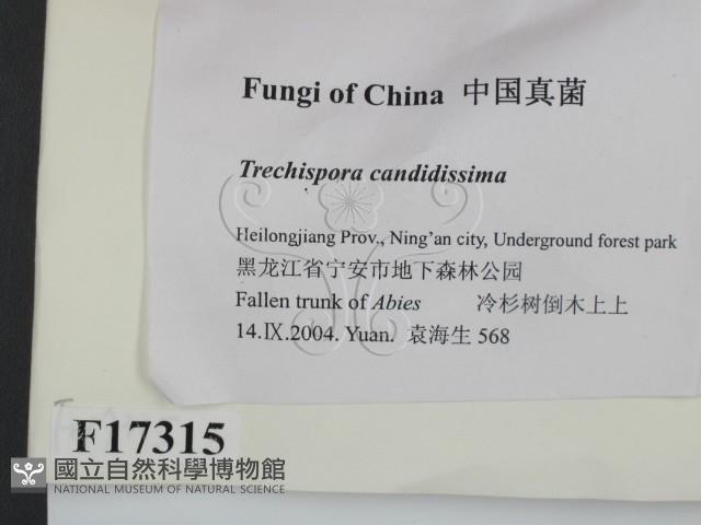登錄號:F0017315藏品圖，第2張
