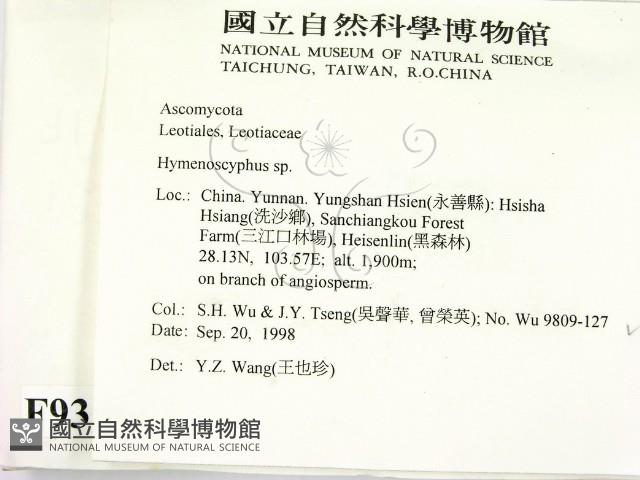 登錄號:F0009315藏品圖，第2張