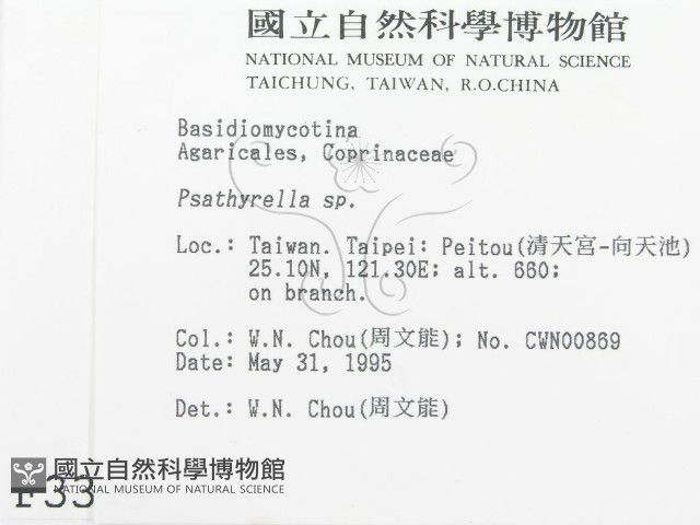 登錄號:F0003315藏品圖，第2張