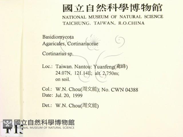 登錄號:F0013315藏品圖，第2張