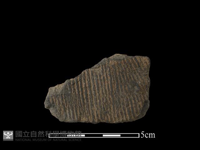 陶片藏品圖，第1張