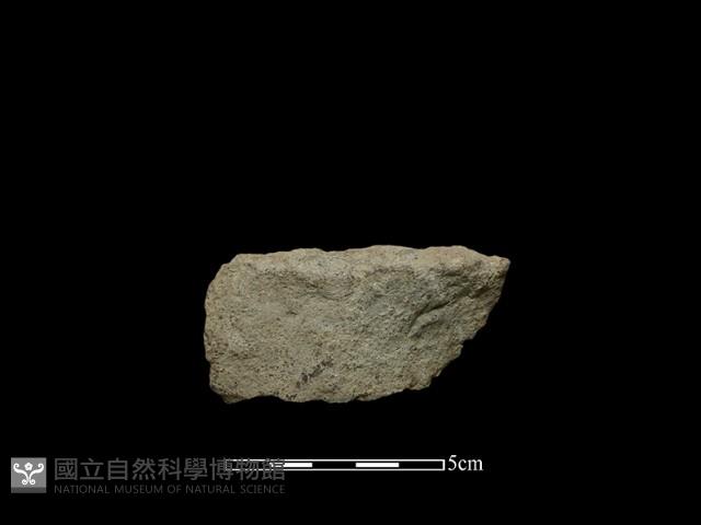 斧鋤形器藏品圖，第2張