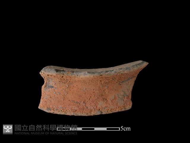 陶罐藏品圖，第2張