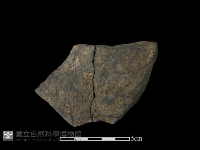 陶片藏品圖，第1張