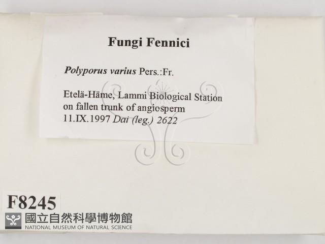 登錄號:F0008245藏品圖，第2張