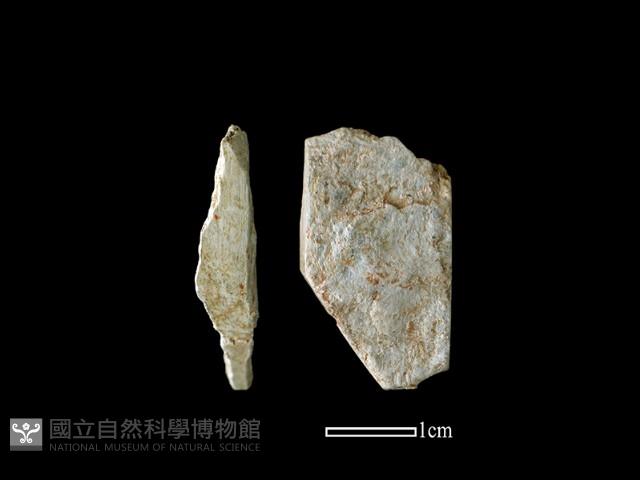 錛鑿形器藏品圖，第1張