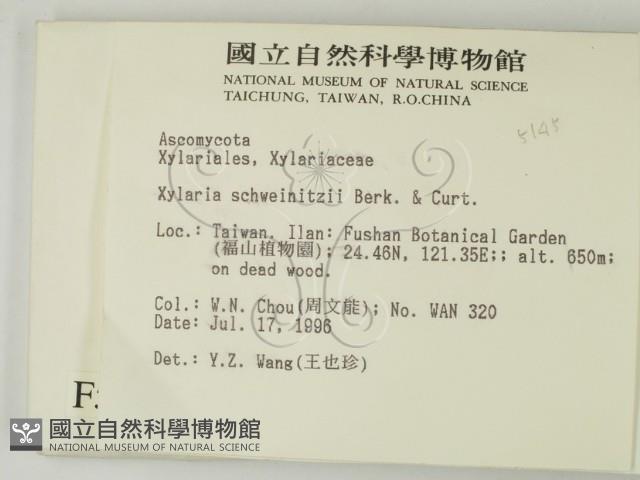 登錄號:F0005145藏品圖，第2張