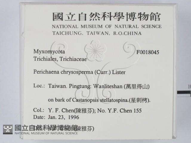 登錄號:F0018045藏品圖，第2張