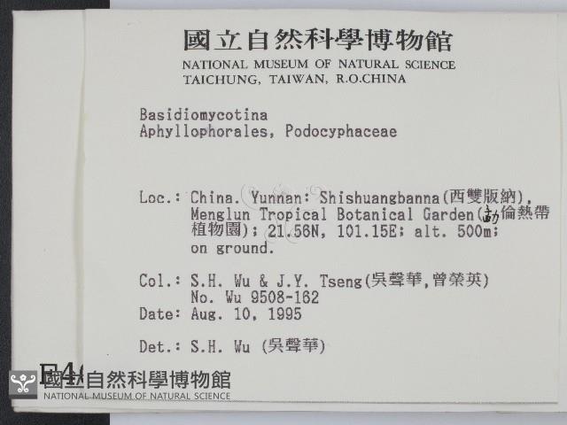 登錄號:F0004045藏品圖，第2張