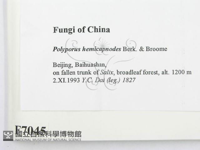 登錄號:F0007045藏品圖，第2張