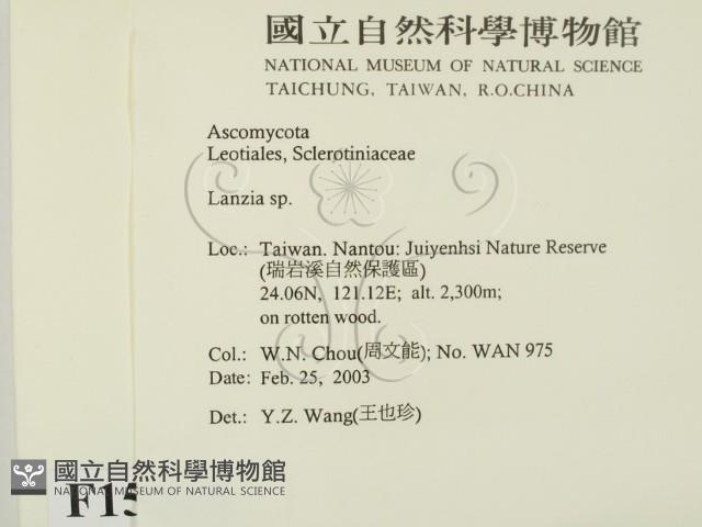 登錄號:F0015045藏品圖，第2張