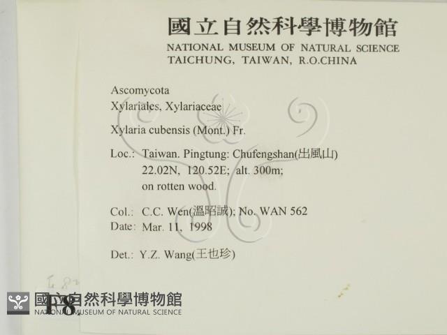 登錄號:F0008295藏品圖，第2張