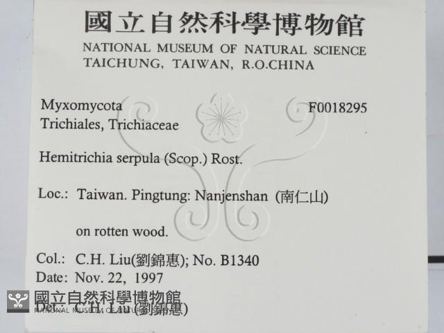 登錄號:F0018295藏品圖，第2張