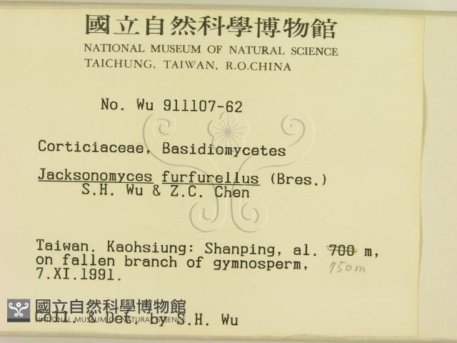 登錄號:F0000295藏品圖，第2張