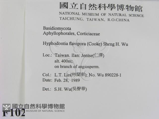 登錄號:F0010295藏品圖，第2張