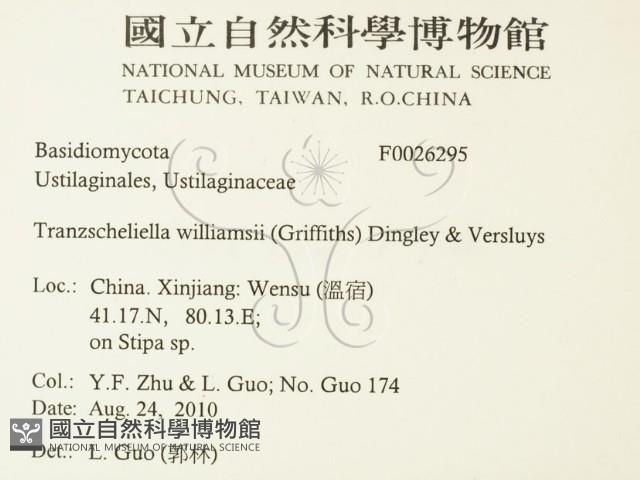 登錄號:F0026295藏品圖，第2張