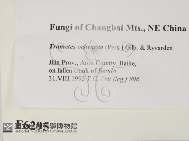 登錄號:F0006295藏品圖，第2張
