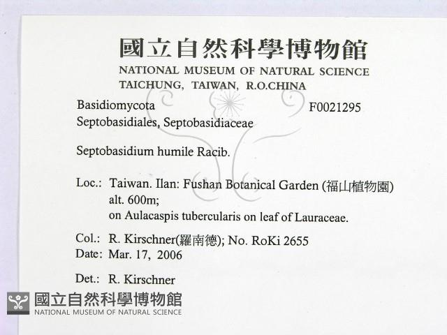 登錄號:F0021295藏品圖，第2張