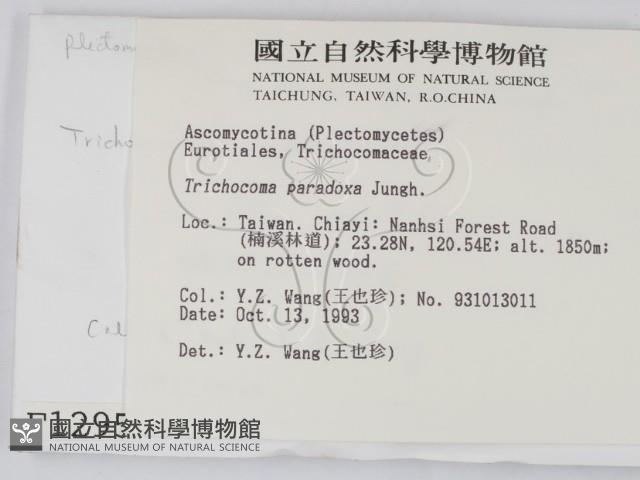 登錄號:F0001295藏品圖，第2張