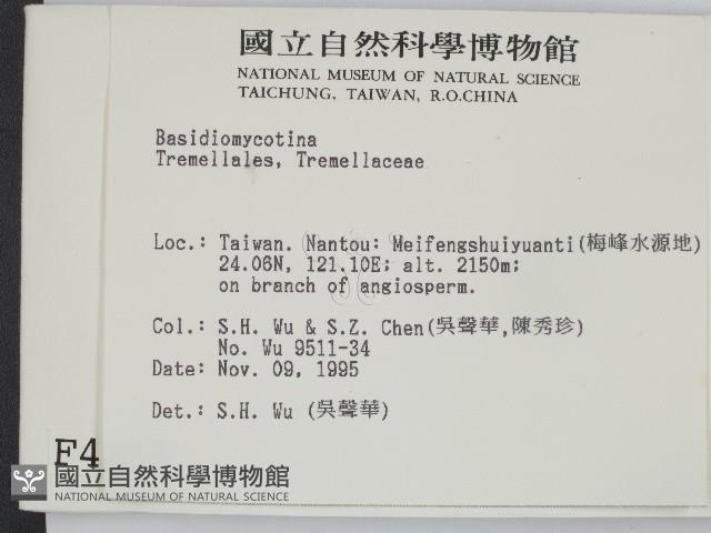 登錄號:F0004295藏品圖，第2張