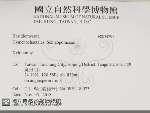 登錄號:F0034295藏品圖，第2張