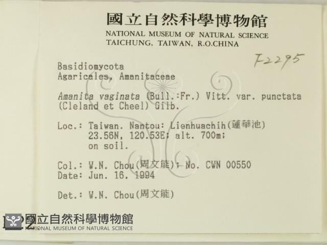 登錄號:F0002295藏品圖，第2張