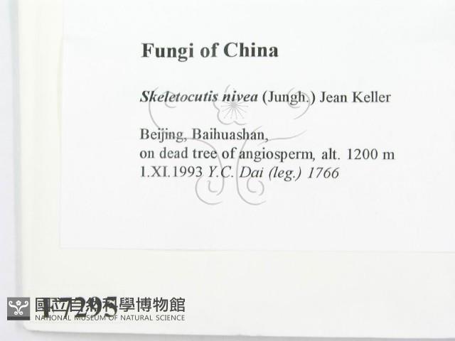 登錄號:F0007295藏品圖，第2張