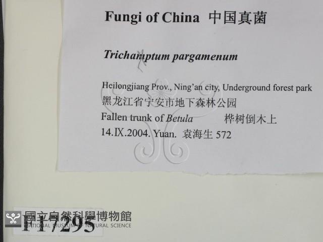 登錄號:F0017295藏品圖，第2張
