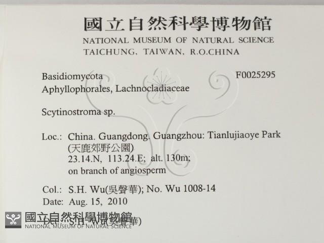 登錄號:F0025295藏品圖，第2張