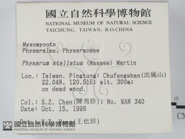 登錄號:F0005295藏品圖，第2張