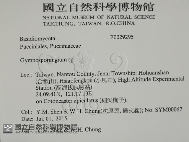 登錄號:F0029295藏品圖，第2張