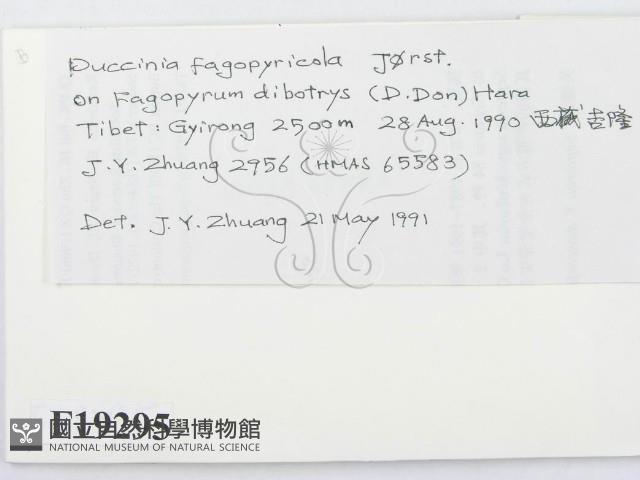 登錄號:F0019295藏品圖，第2張