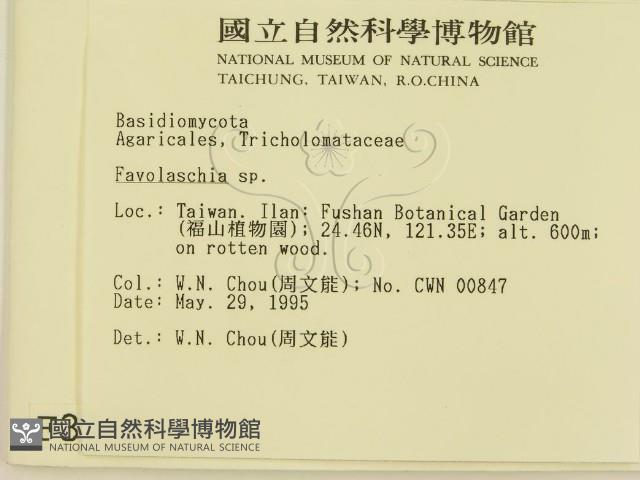 登錄號:F0003295藏品圖，第2張