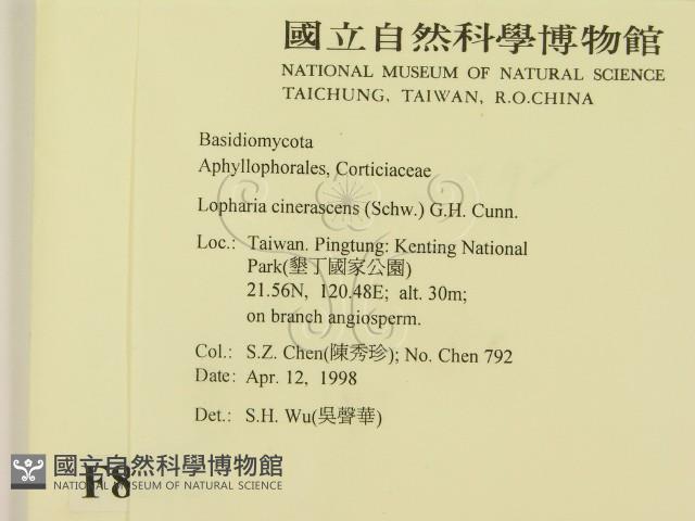 登錄號:F0008895藏品圖，第2張