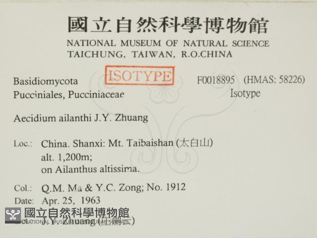 登錄號:F0018895藏品圖，第2張