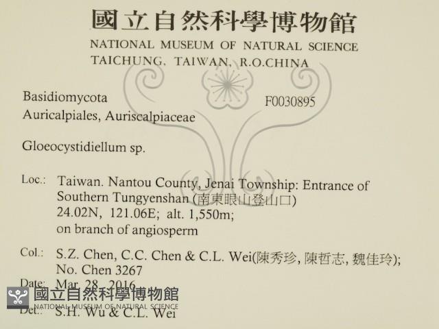 登錄號:F0030895藏品圖，第2張