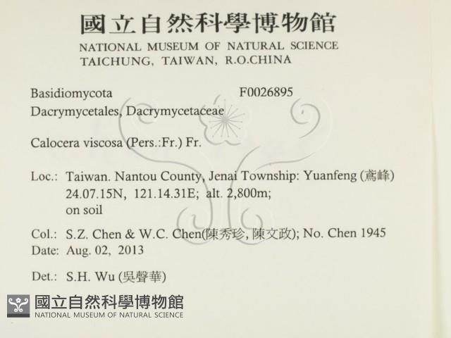 登錄號:F0026895藏品圖，第2張