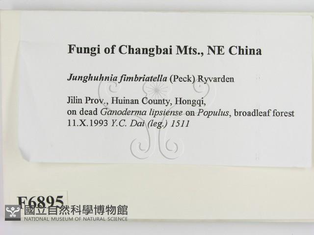 登錄號:F0006895藏品圖，第2張