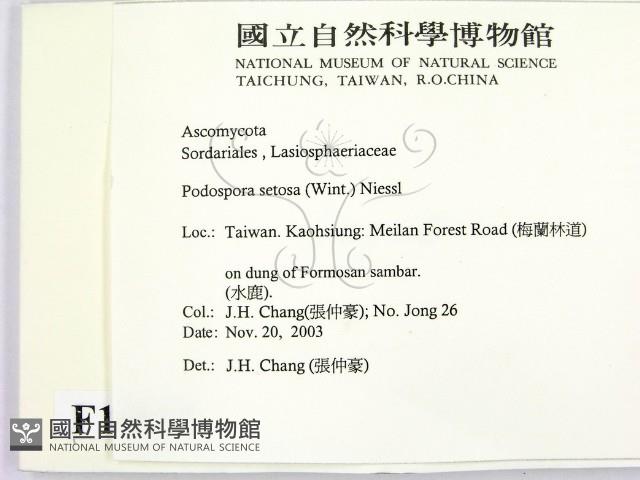 登錄號:F0016895藏品圖，第2張