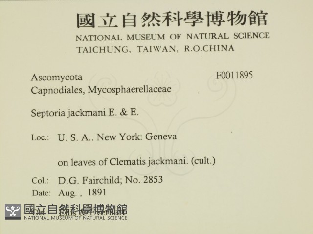 登錄號:F0011895藏品圖，第2張